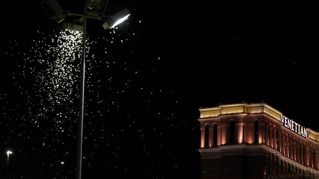 Migrating Grasshoppers Swarming Across Las Vegas Strip Causing Panic Among Tourists (VIDEO)