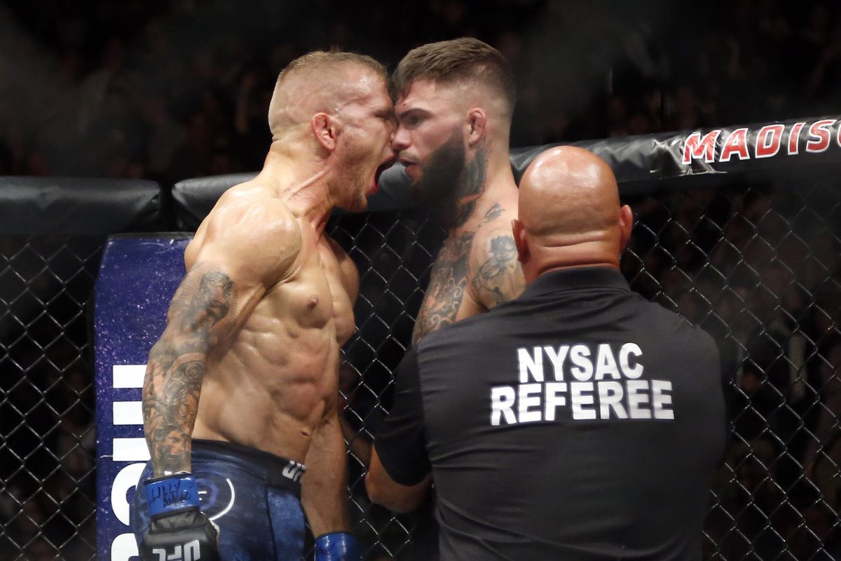 UFC 227 Blood Feud: One of the Hottest Rivalries in Mixed Martial Arts Gets a Reboot