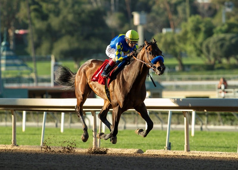 Bob Baffert Sees Odds of Racing in Kentucky Derby, Triple Crown Lengthen