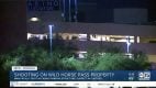 Arizona Tribal Casino Parking Garage Site of Deadly Shooting