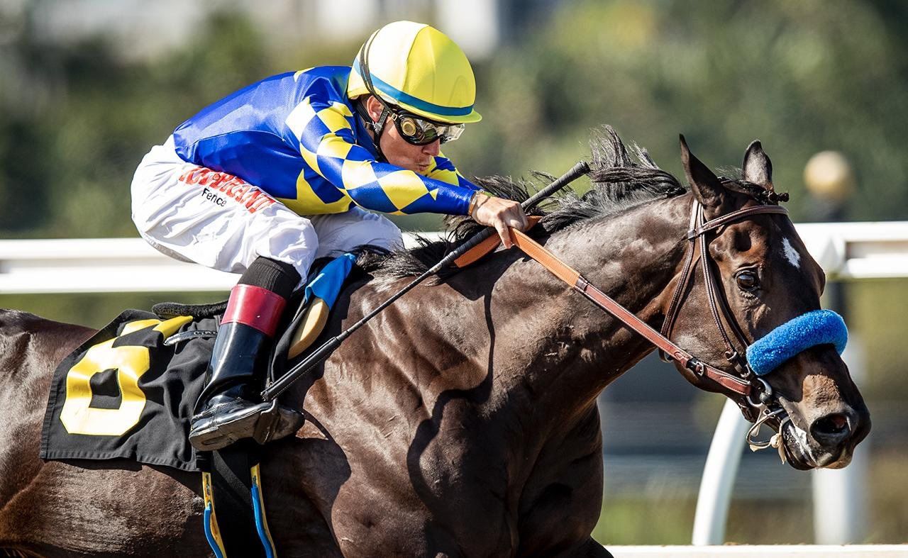 Bob Baffert Seeks Eighth Del Mar Futurity Since 2008, Trains Morning Line Favorite Eight Rings