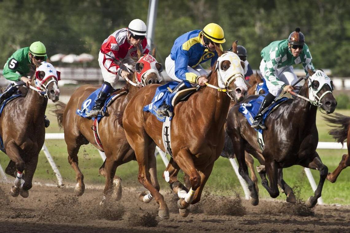 Save Idaho Horse Racing Group Says Ballot Goal Reached, Despite Alleged Sabotage