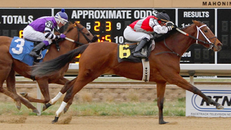 Ohio Track Cancels Horse Racing Meet for Two Weeks After Employee Tests Positive for COVID-19