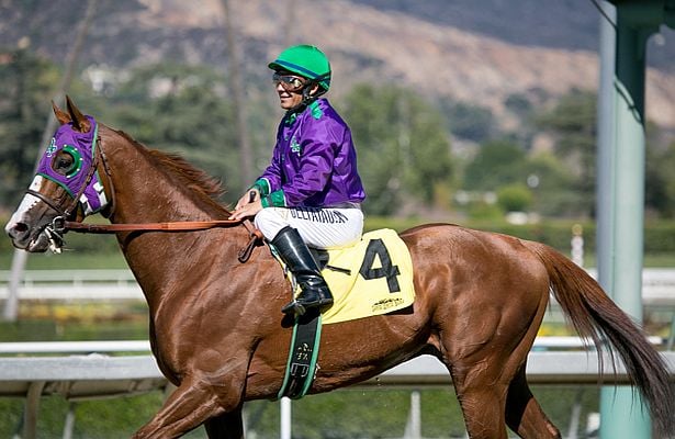 California Chrome Hopes to Claim Triple Crown