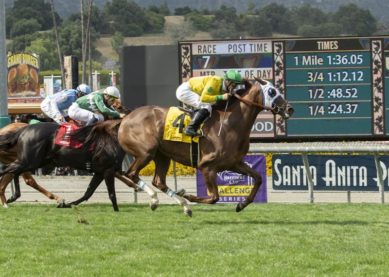 Sen. Feinstein, LA Times Call on Santa Anita to Stop Horse Racing After Another Equine Fatality