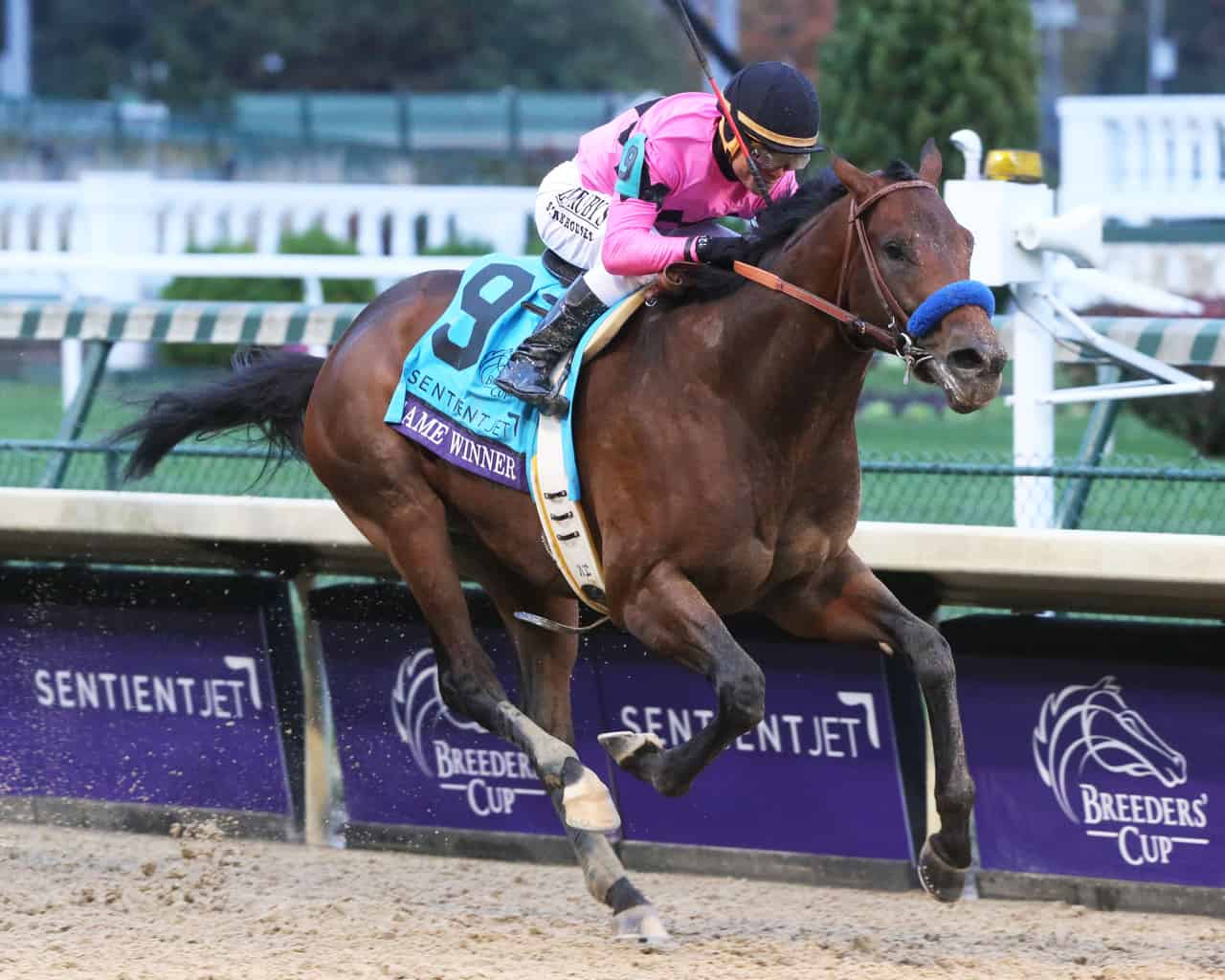 Road to Kentucky Derby Goes Through Arkansas This Weekend, Game Winner and Improbable Promise Thrills