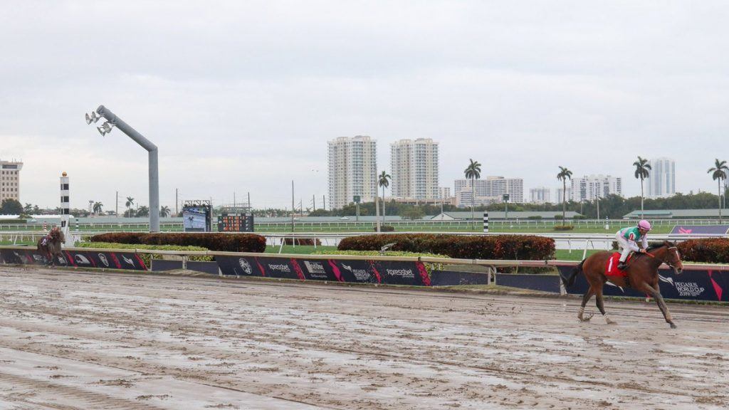 Kentucky Derby Contender Hidden Scroll Seeking Better Trip in Florida Prep Saturday