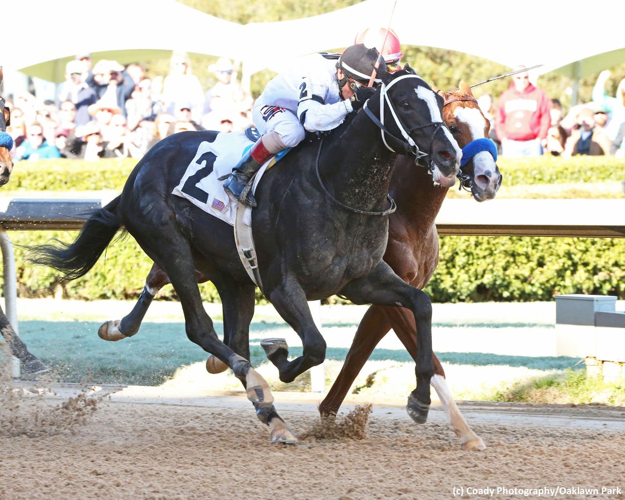 Race to Kentucky Derby Recap: Rebel Stakes Offers Fantastic Finishes at Weekend Oaklawn in Arkansas