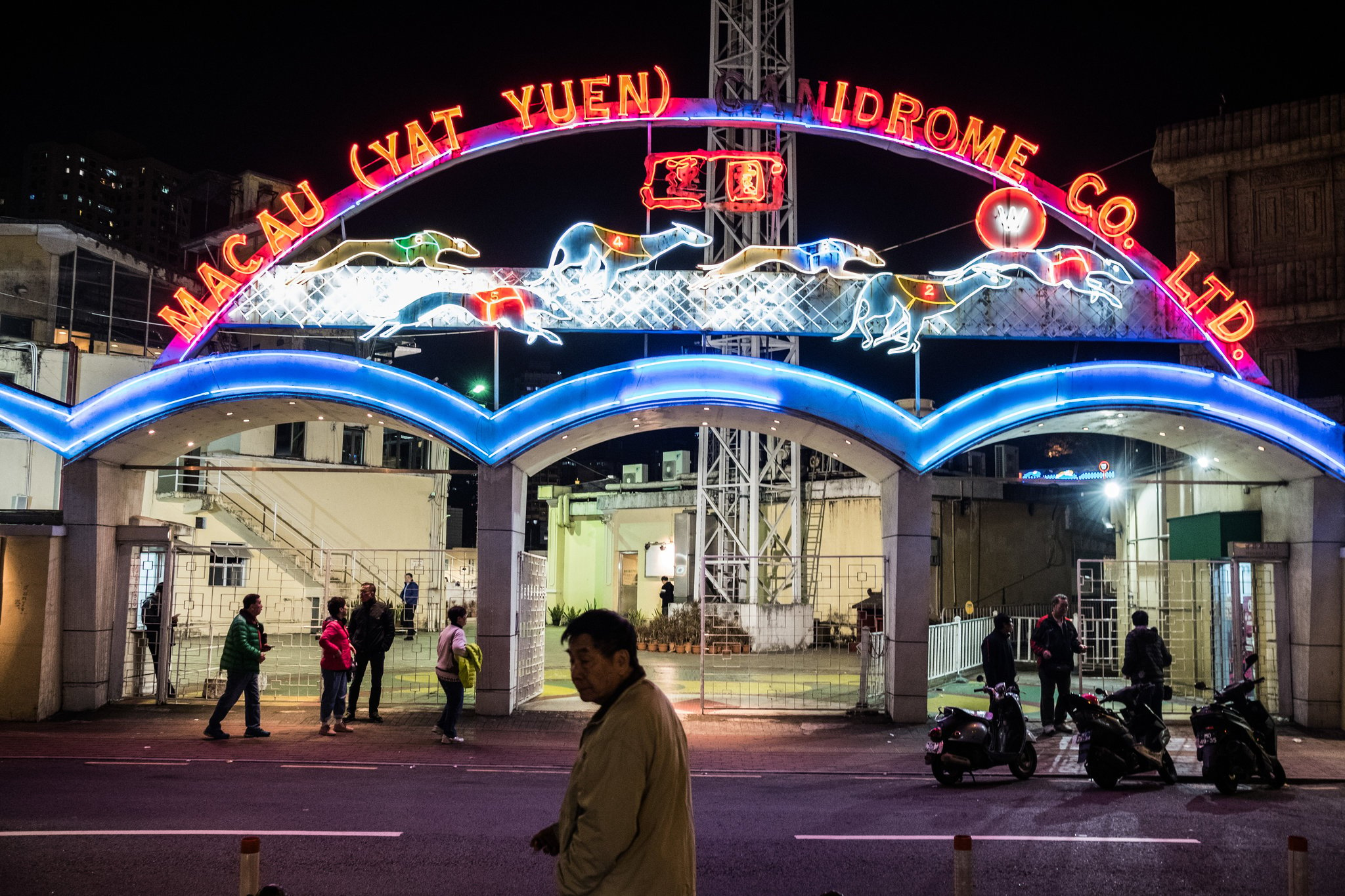 Macau Canidrome Greyhound Track to Close, Concern Mounts Over Welfare of Dogs