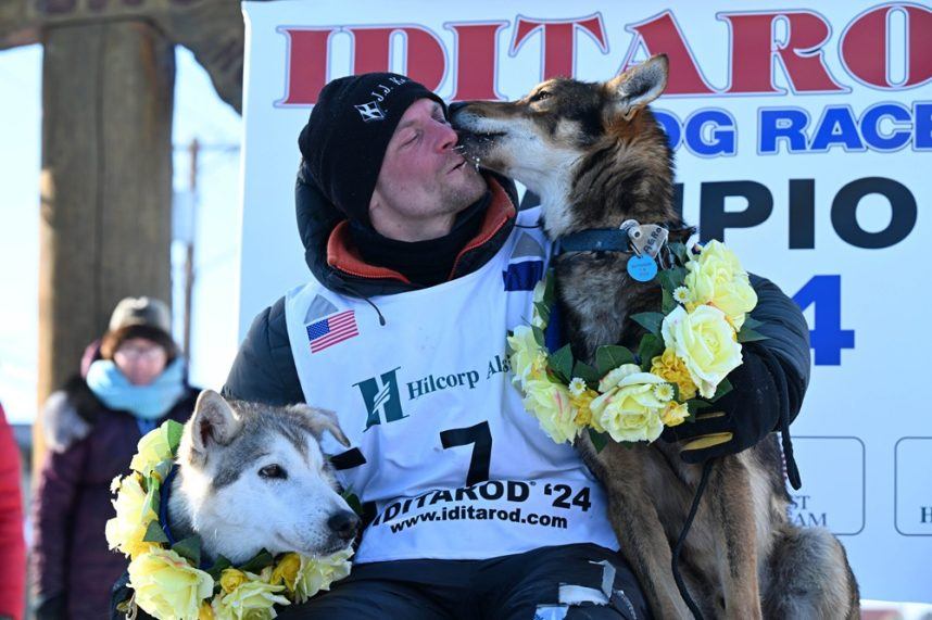 Iditarod Husky Deaths Renew Calls for Ban on Alaska’s Iconic Iditarod Race